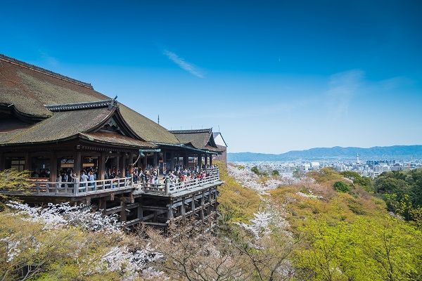 ▲▼日韓賞櫻！落英繽紛享美食拍美照。（圖／業者提供）