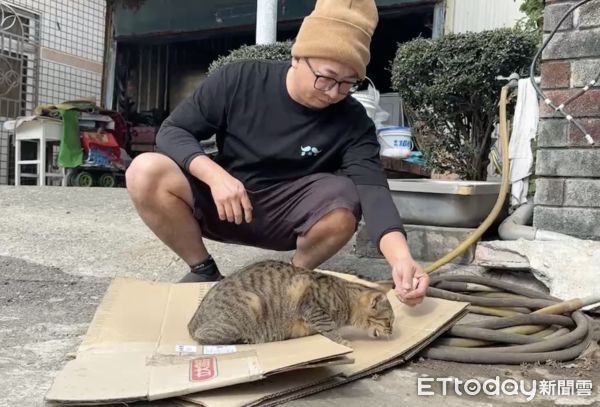 ▲口湖鄉洪先生領養的虎斑貓「小不點」上週發生「跳車之旅」，流浪三天幸好順利尋回。（圖／記者王悉宇翻攝）