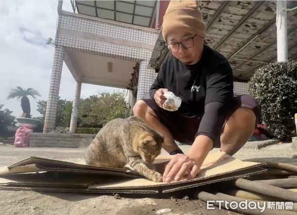 ▲口湖鄉洪先生領養的虎斑貓「小不點」上週發生「跳車之旅」，流浪三天幸好順利尋回。（圖／記者王悉宇翻攝）