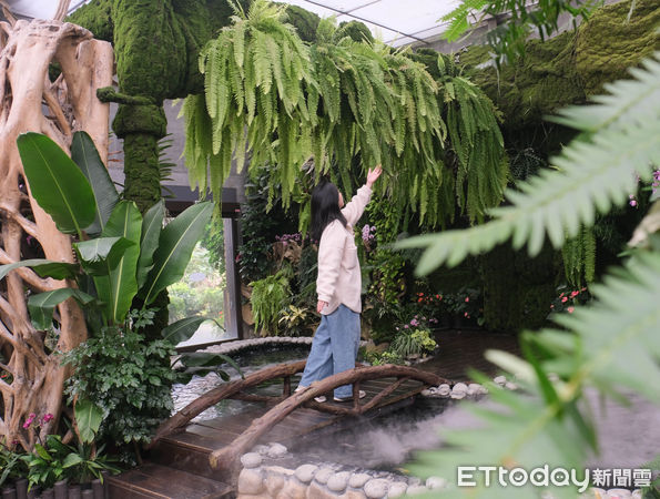 ▲苗栗花露休閒農場,卓蘭旅遊,花露農場。（圖／記者彭懷玉攝）