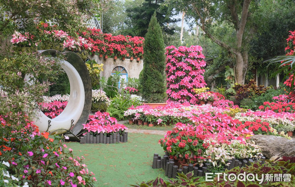 ▲苗栗花露休閒農場,卓蘭旅遊,花露農場。（圖／記者彭懷玉攝）