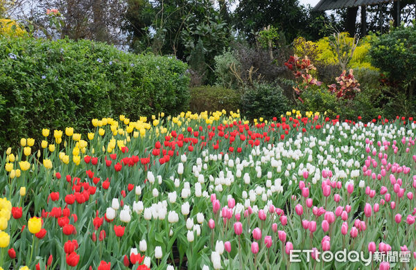 ▲苗栗花露休閒農場,卓蘭旅遊,花露農場。（圖／記者彭懷玉攝）