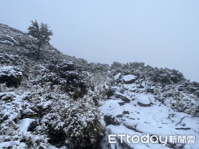 嘉明湖國家步道下雪了　整片銀白世界