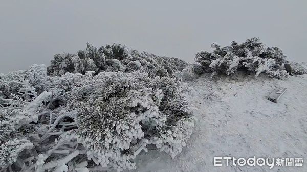 ▲▼玉山北峰降雪。（圖／氣象署提供）