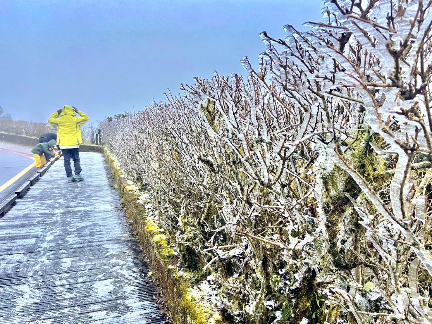 ▲▼     宜蘭太平山國家森林遊樂區迎來的今年第一場冰霰        。（圖／太平山莊提供）