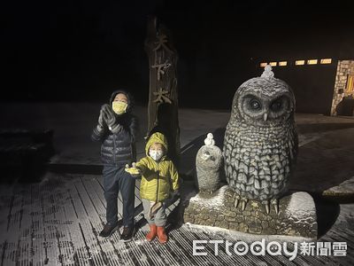 雪白一片！宜蘭太平山凌晨降冰霰　遊客興奮和貓頭鷹石雕合照