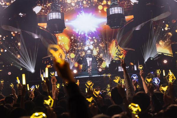 ▲▼HACHI來台吃遍美食。（圖／RK MUSIC提供）