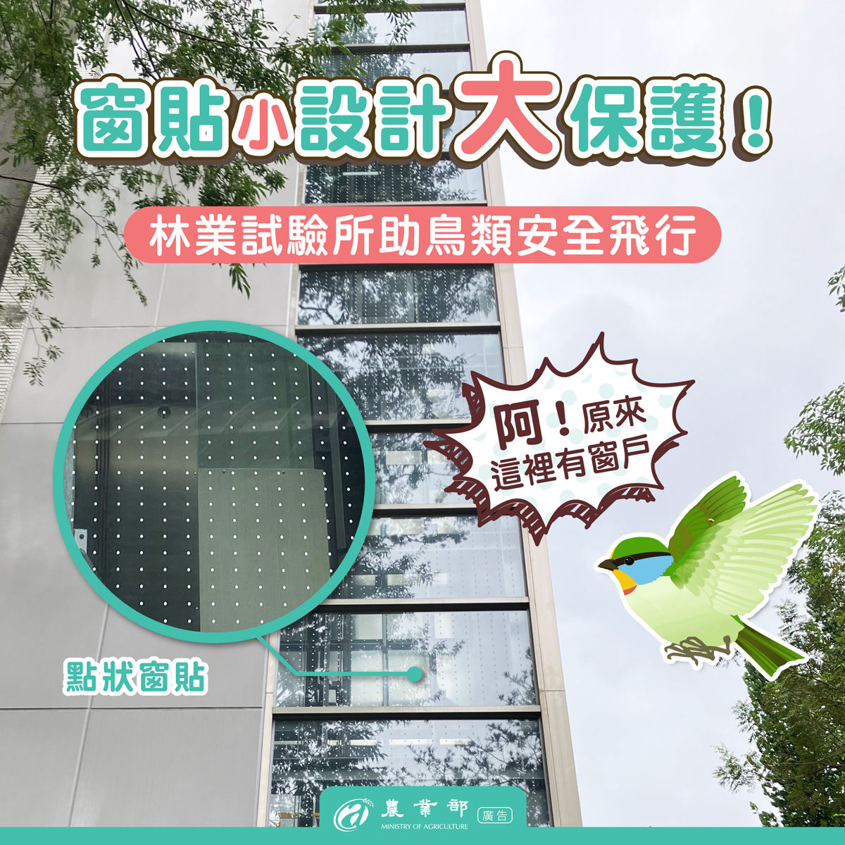 ▲農業部林試所呼籲大樓使用鳥類友善窗貼。（圖／翻攝農業部網站）