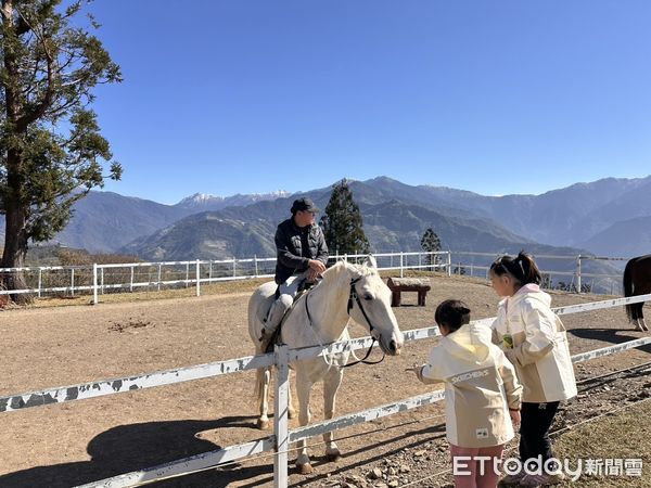 ▲清境農場邀請遊客到高山輕鬆賞雪。（圖／記者高堂堯攝）