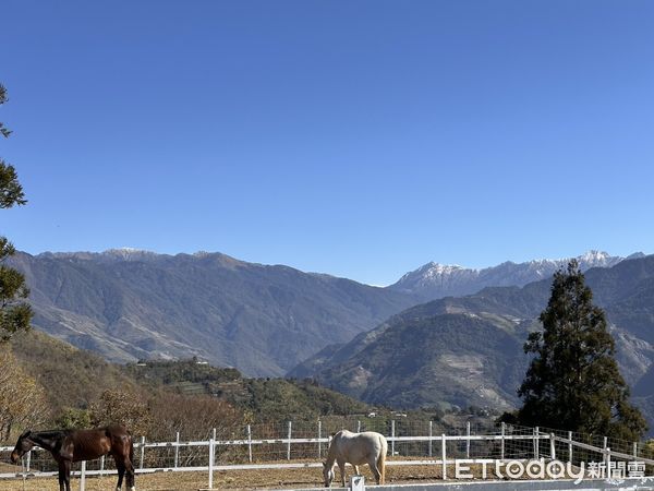 ▲清境農場邀請遊客到高山輕鬆賞雪。（圖／記者高堂堯攝）