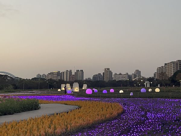 ▲古亭河濱花海今年以數十萬盆草花營造粉色浪漫，花期至2月下旬。（圖／水利處提供）