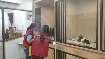 全面改善犬貓飼養品質　新北推動特定寵物業環境提升計畫