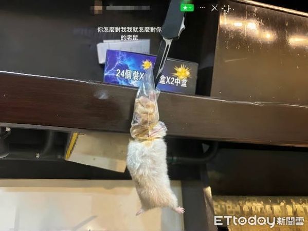 ▲林男與女友吵架，竟虐待合養的倉鼠，並亮刀嗆聲。（圖／記者陸運陞翻攝）