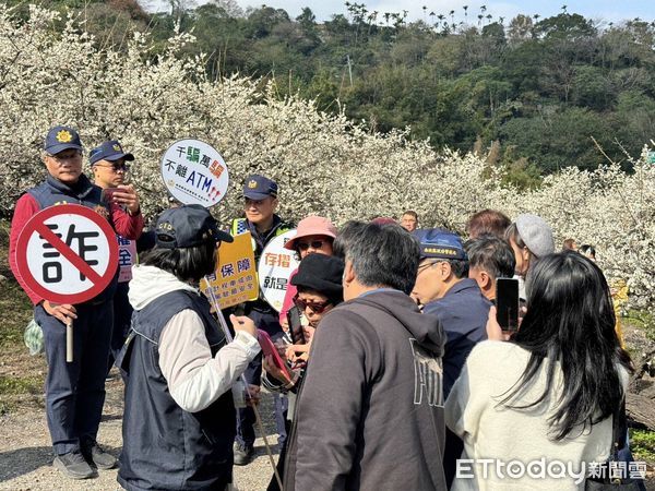 ▲信義鄉梅花盛開吸引人潮，警方現地進行防詐騙宣導。（圖／記者高堂堯翻攝）