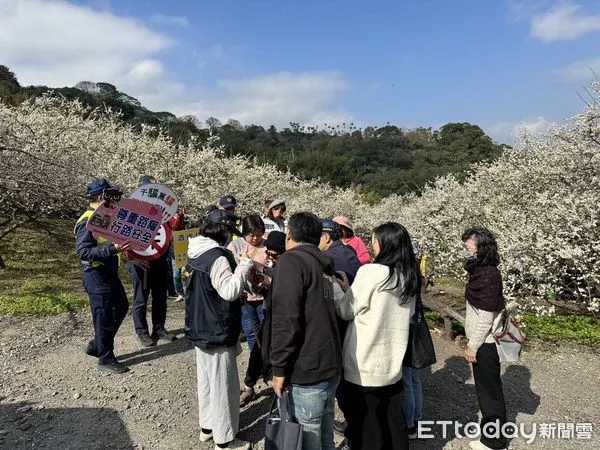 ▲信義鄉梅花盛開吸引人潮，警方現地進行防詐騙宣導。（圖／記者高堂堯翻攝，下同）