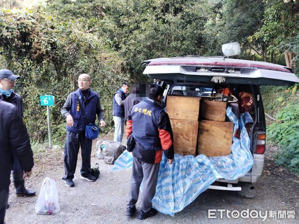 ▲資深山老鼠帶著堂弟和兒子進林道竊取珍貴林木，警方在低溫中埋伏成功逮捕3人。（圖／記者楊永盛翻攝）