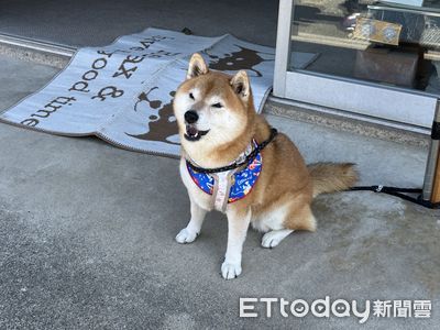 寵物溝通師要不要納管　農業部仍在評估中