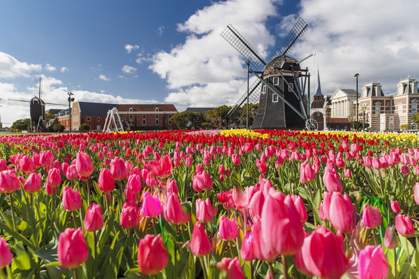 ▲▼長崎豪斯登堡。（圖／豪斯登堡提供）