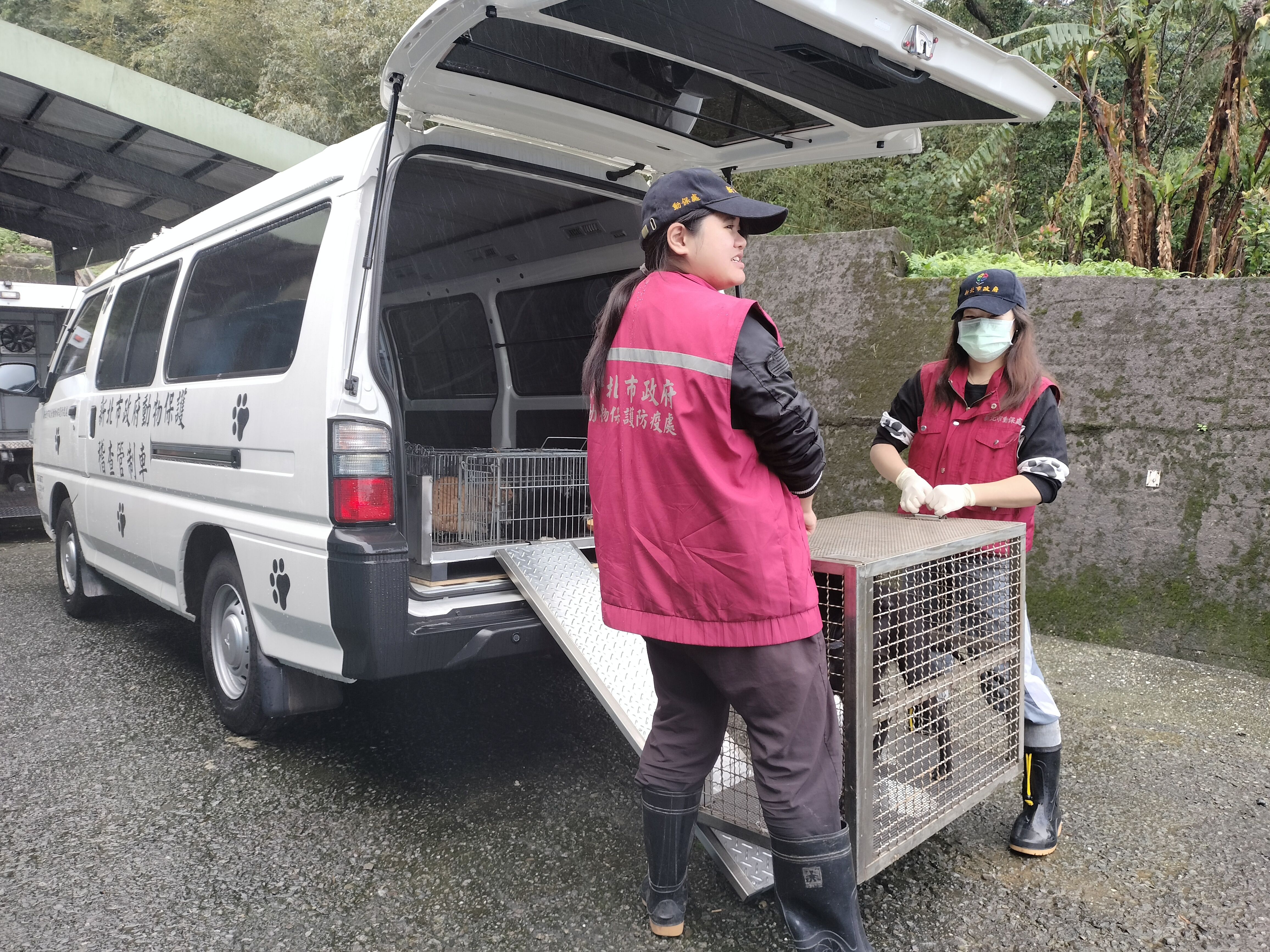 ▲新北動物管制救援車。（圖／新北市動保處提供）