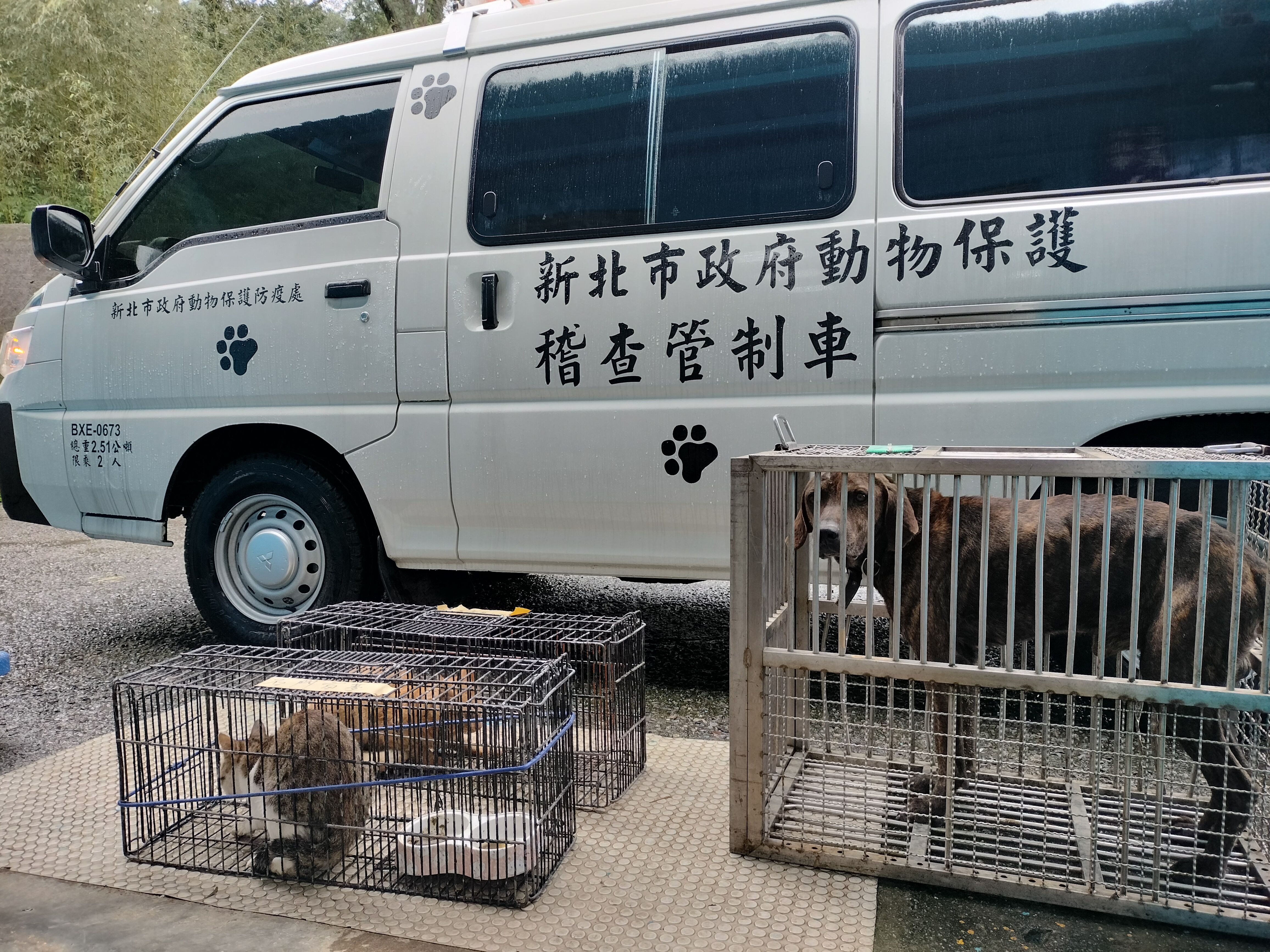 ▲新北動物管制救援車。（圖／新北市動保處提供）