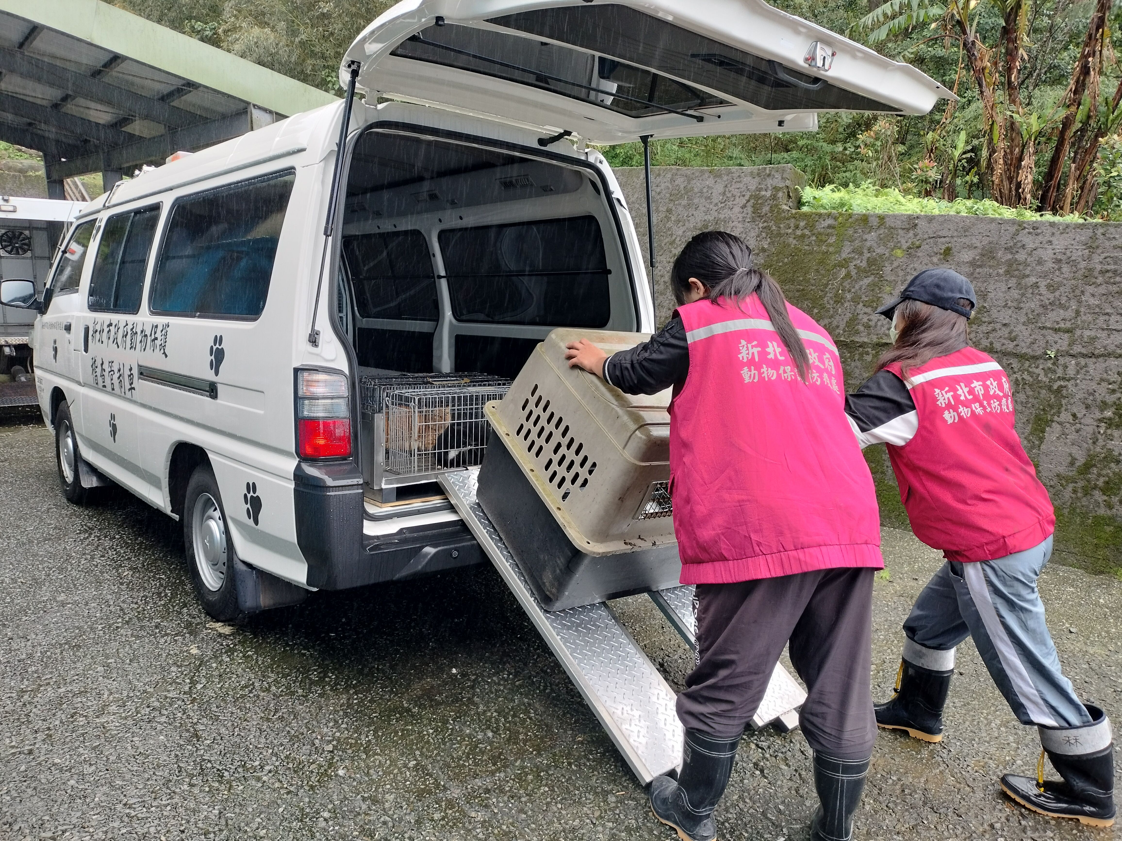 ▲新北動物管制救援車。（圖／新北市動保處提供）