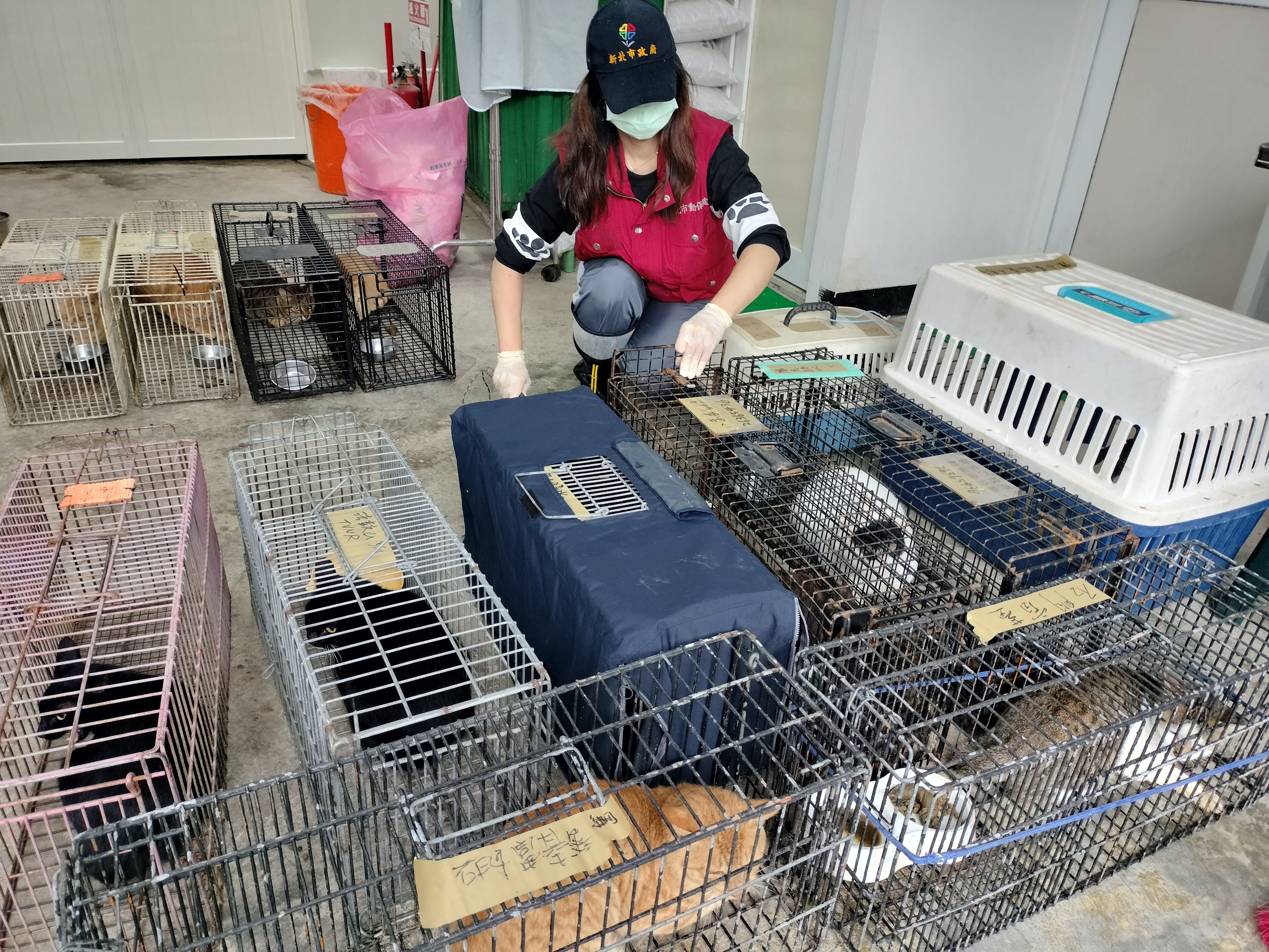 ▲新北動物管制救援車。（圖／新北市動保處提供）