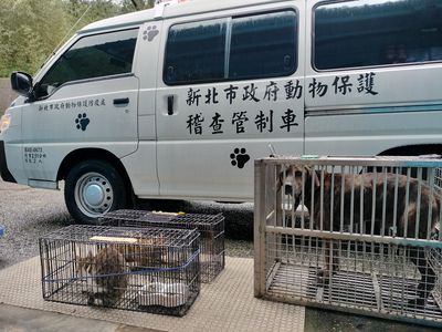 多效能動物管制救援車上路　新北動保處展現守護生命新實力