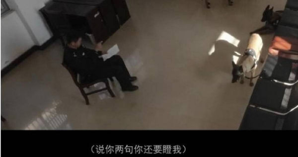 通告內容提到，近期部分警犬工作落實不到位。（圖／翻攝自微博／頭條新聞）