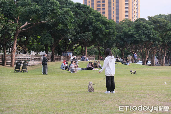 ▲2024年底台中勤美術館正式啟用。（圖／記者彭懷玉攝）