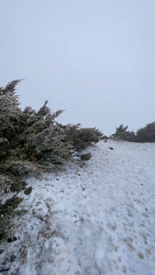 ▲▼玉山下雪。（圖／氣象署提供）