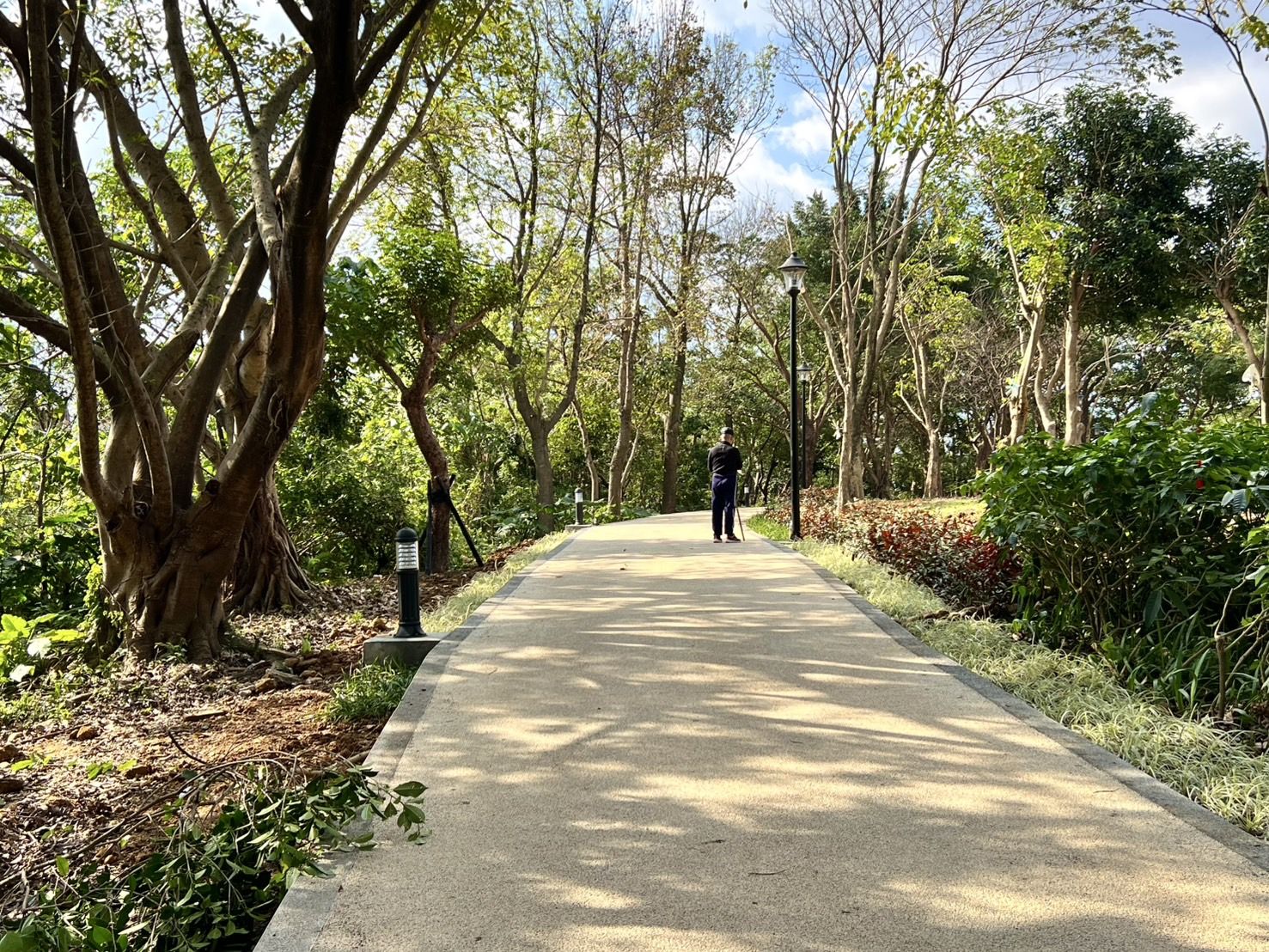 ▲中和嘉穗公園啟用。（圖／新北市景觀處提供）