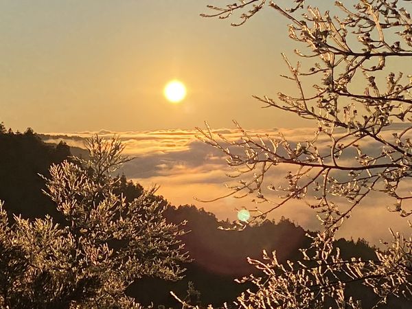 ▲▼太平山森林遊樂區霧淞、雲海、日出交織的大自然的美景。（圖／太平山莊提供，下同）