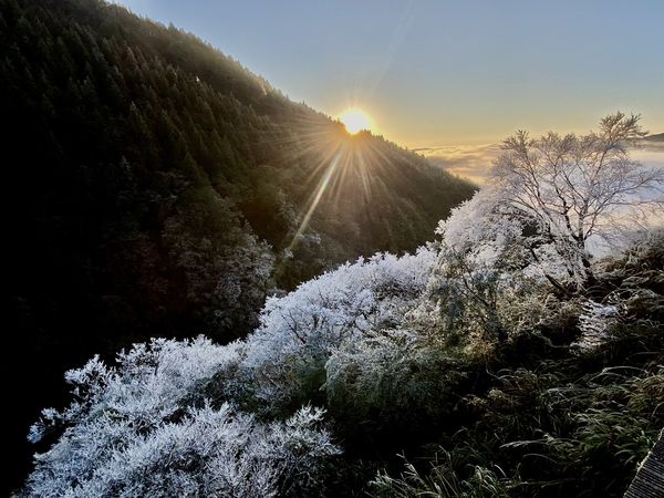 ▲▼太平山森林遊樂區霧淞、雲海、日出交織的大自然的美景。（圖／太平山莊提供，下同）