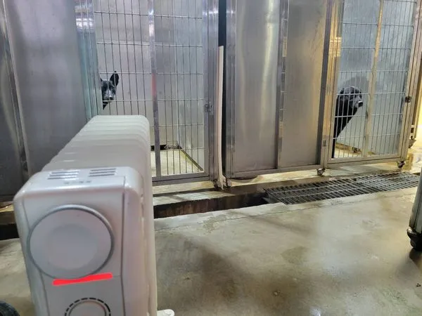 ▲台北市動保處準備了電暖器幫收容動物度過寒冬。（圖／台北市動保處提供）