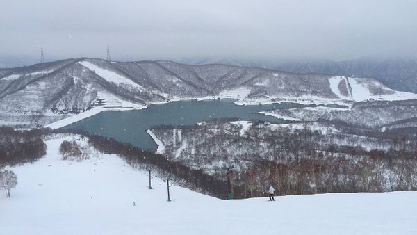 ▲▼日本新潟縣越後湯澤滑雪。（圖／部落客CJ夫人授權提供）