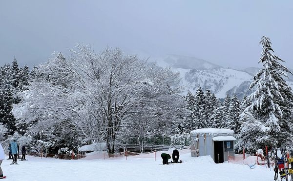 ▲▼日本新潟縣越後湯澤滑雪。（圖／部落客CJ夫人授權提供）