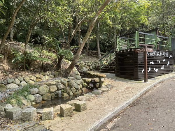 ▲「大崙頭森林步道」屬於小溪頭環狀步道之一。（圖／大地處提供）
