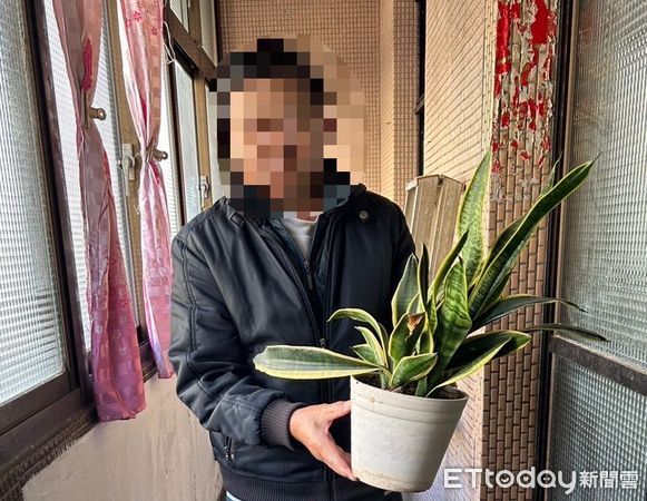 ▲▼監視器拍下朱男行竊盆栽，警方在朱男住家發現黃金葛掛在窗台，失竊的虎尾蘭盆栽             。（圖／記者陳以昇翻攝）