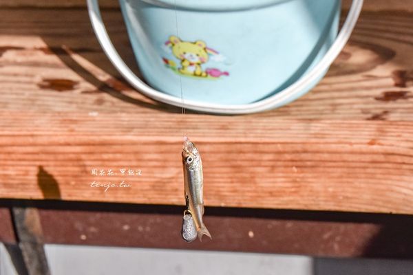 ▲▼日本福島檜原湖釣西太公魚。（圖／部落客周花花授權提供）
