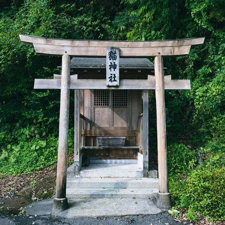 ▲▼             。（圖／記者周偉承攝）