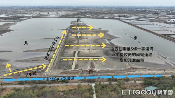 ▲▼   鹽田棲地營造有成 布袋「漫天燕鷗海」 。（圖／林業保育署嘉義分署提供）