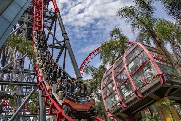 ▲麗寶樂園追風奇幻島。（圖／麗寶樂園提供）