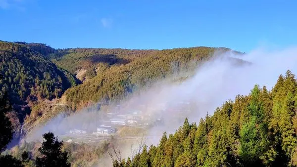 ▲▼宜蘭太平山。（圖／林業及自然保育署宜蘭分署提供）