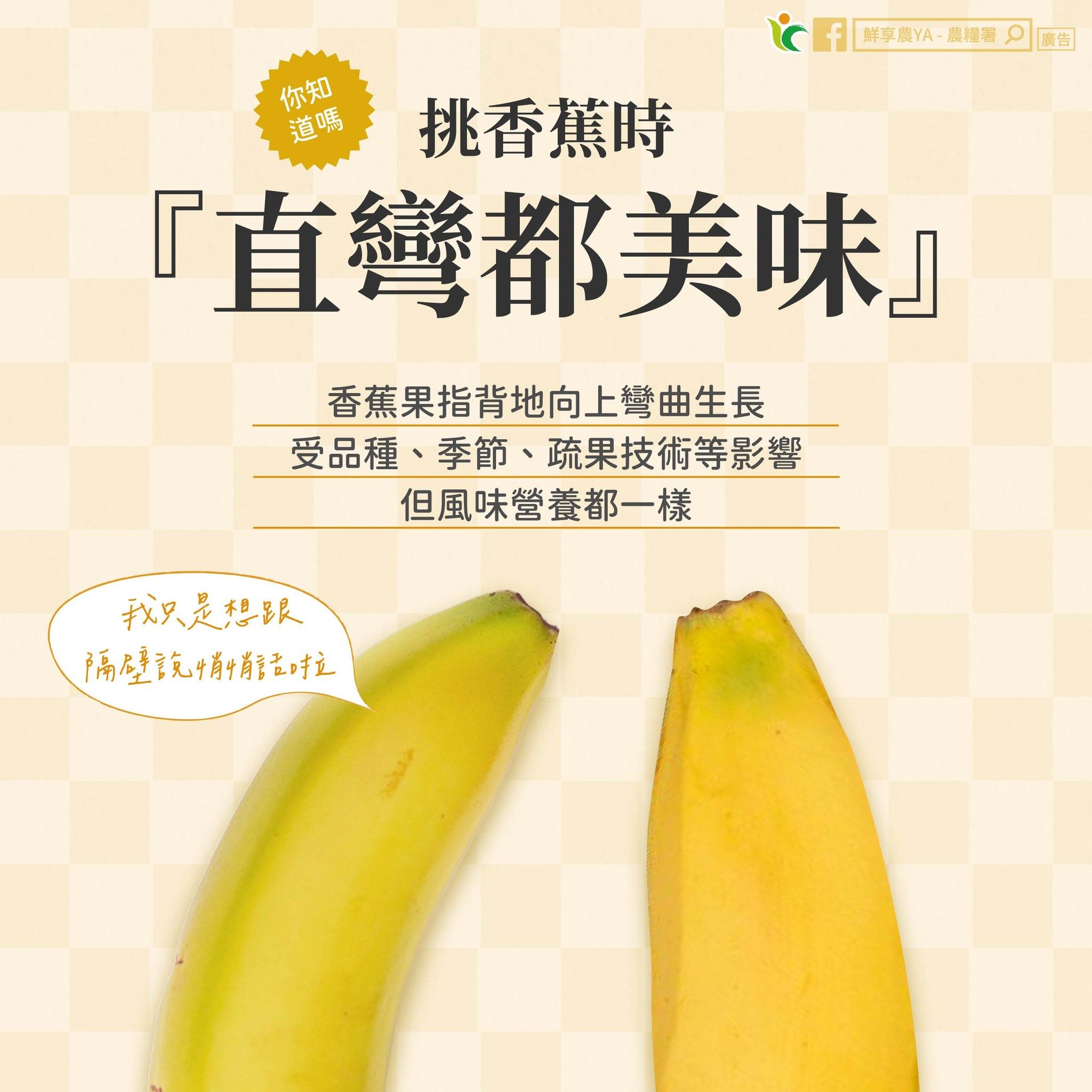 ▲農糧署提供香蕉選購技巧 。（圖／農糧署提供，下圖同）