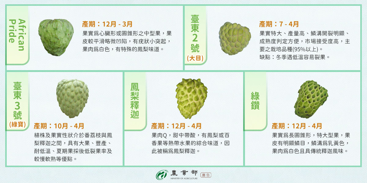 ▲農糧署介紹釋迦品種。（圖／農糧署提供）