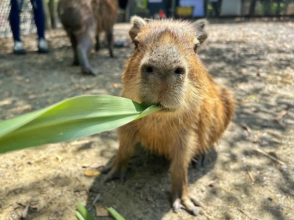 ▲▼和逸飯店台南西門館。（圖／業者提供）