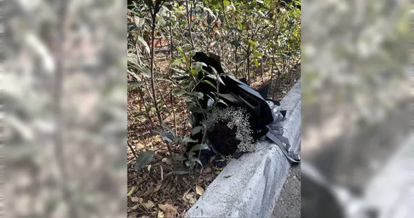 心痛的感覺！公園見「黑玫瑰」花束被丟路邊　內行人揭1關鍵：壓力山大