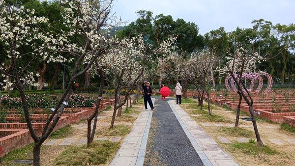 ▲北市公園處整理出台北12座公園賞花景點。（圖／公園處提供）