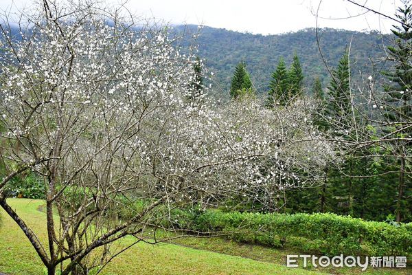 ▲▼大農大富平地森林公園。（圖／花蓮分署提供，下同)