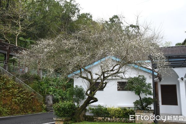 ▲▼大農大富平地森林公園。（圖／花蓮分署提供，下同)